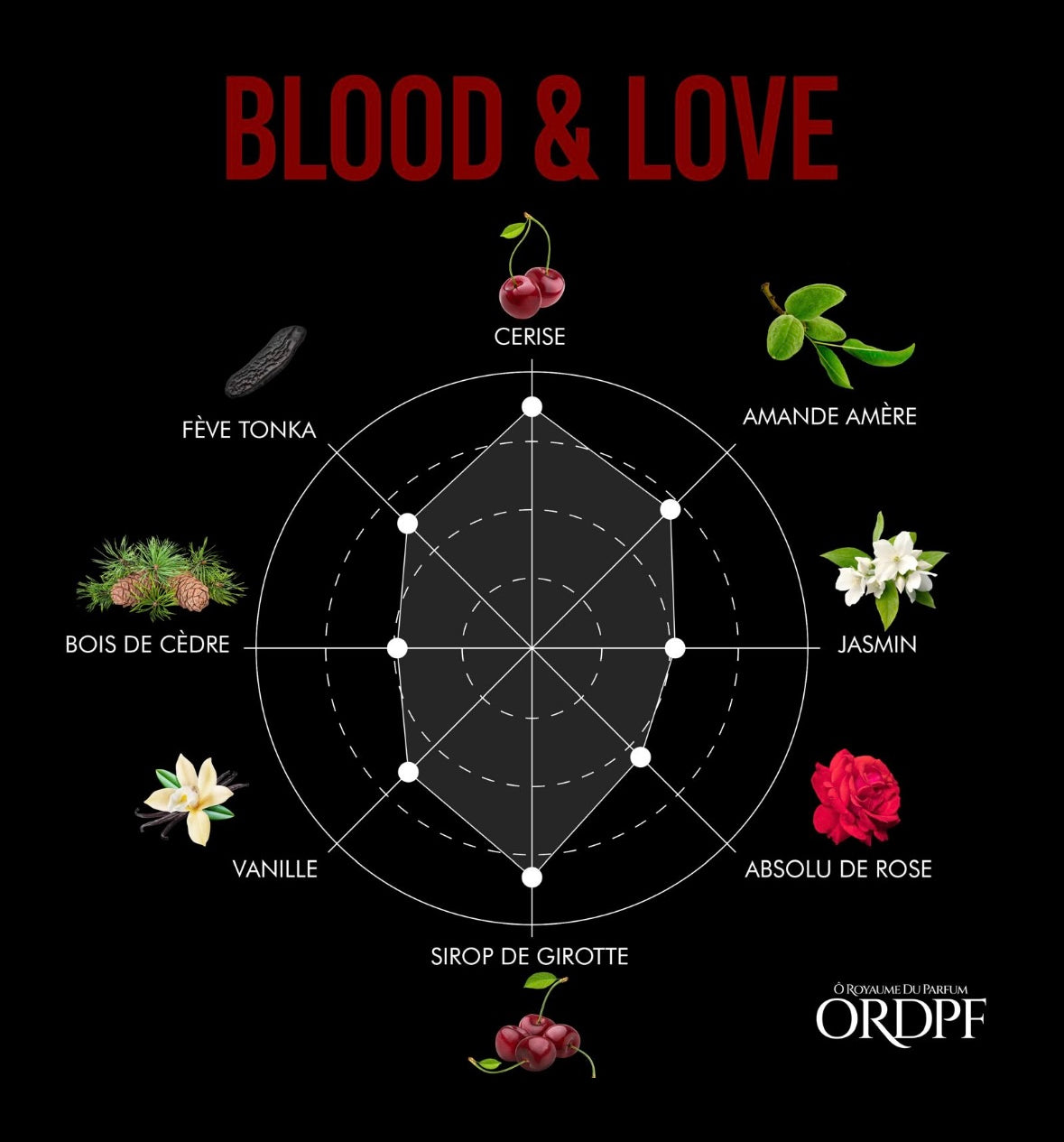 BLOOD & LOVE